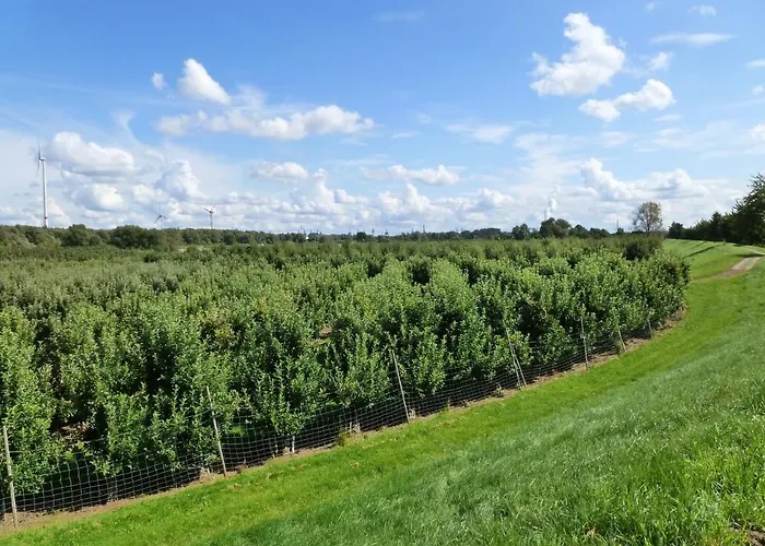 Fewo Im Alten Land