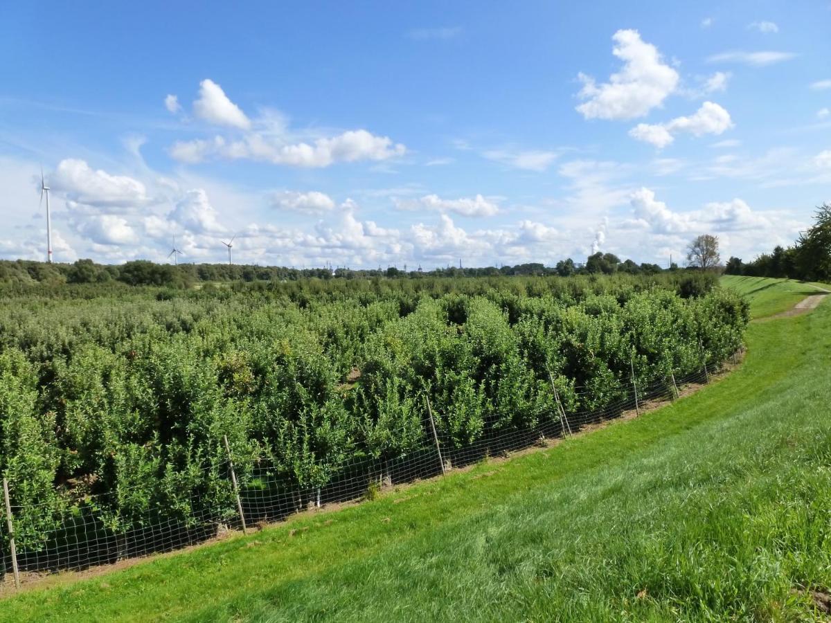 Апартаменты Im Alten Land *