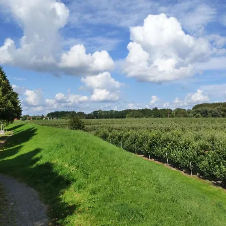 Fewo Im Alten Land Amburgo Esterno foto